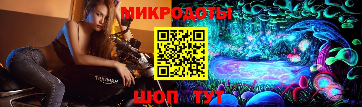 Псилоцибиновые грибы Psilocybe Коммунар